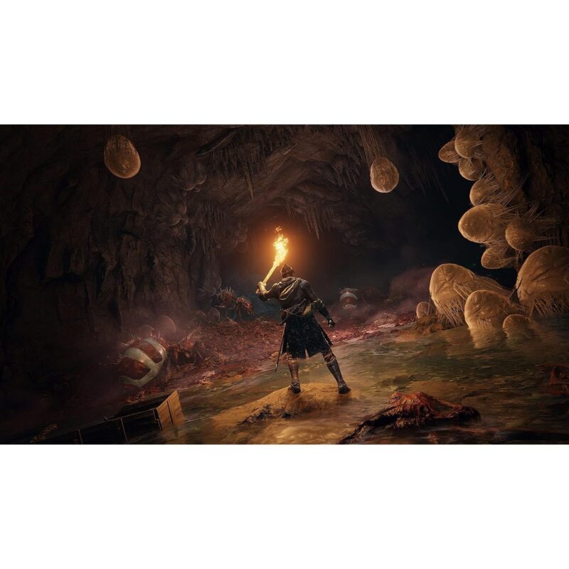 Elden Ring - PlayStation 5 Game (PS5) - Image 2